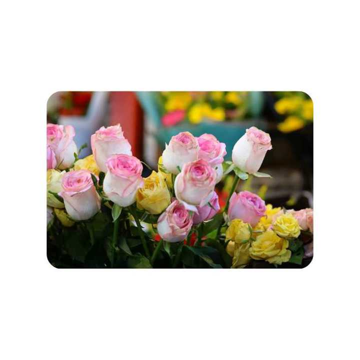 Casestudies Flamingo2