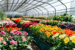 Reihe mit verschiedenen bunten Blumen