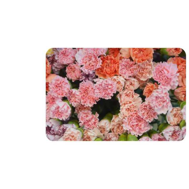 Casestudies Flamingo3 (1)