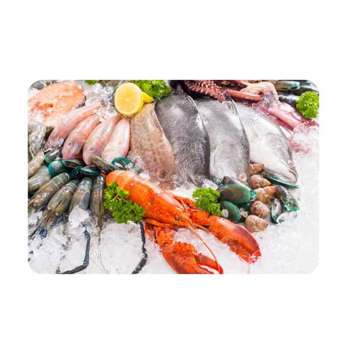 Casestudies Youngs (1)