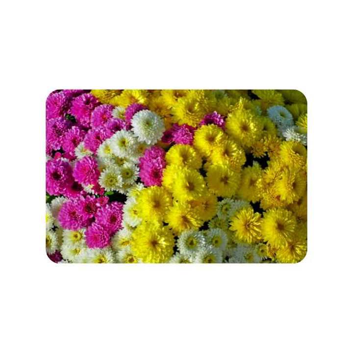 Casestudies Flamingo