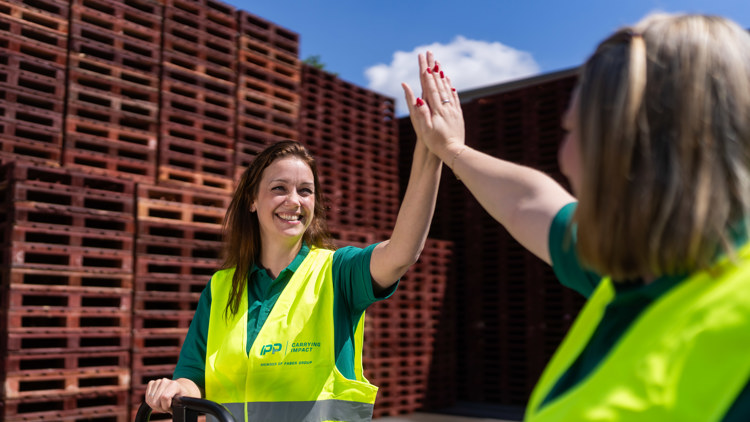 IPP 050713100801186SVS