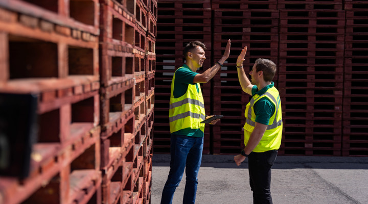 IPP The Brown Pallet | IPP Pooling